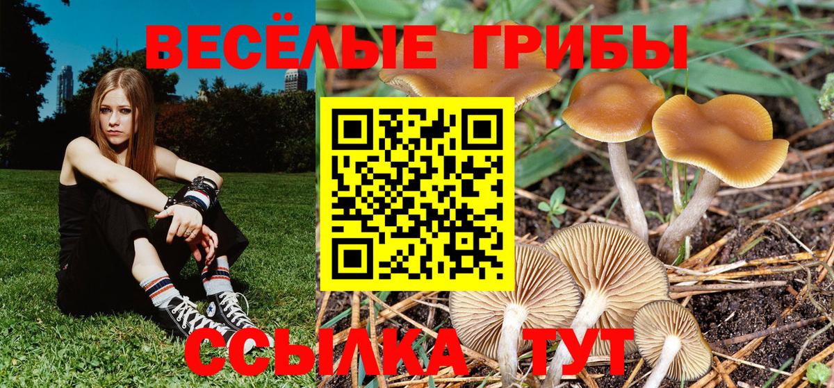 Похвистнево  купить наркотики цена  Вход с VPN  Галлюциногенные грибы прущие грибы 