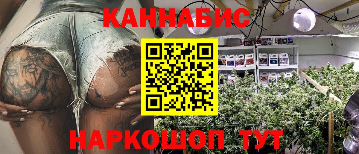 Марихуана марихуана  Шишки марихуана Bruce Banner  Вход с VPN  Марихуана сатива  Похвистнево  Конопля семена 